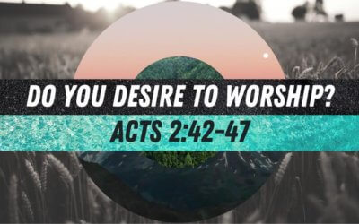 Do You Desire to Worship?