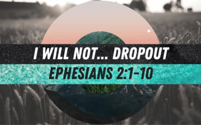 I Will Not… Dropout