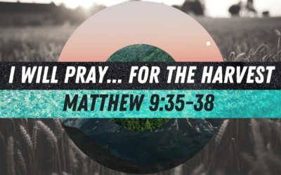 I Will Pray… For the Harvest