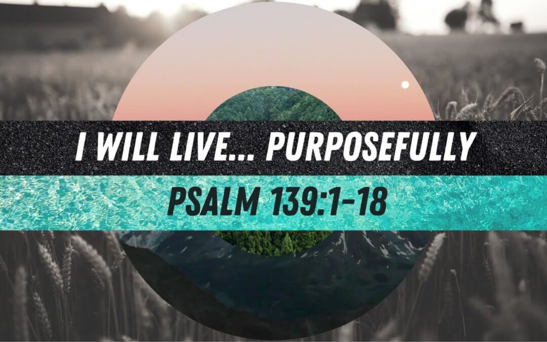 I Will Live…Purposefully
