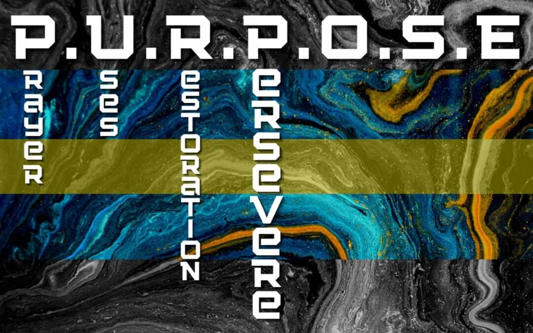 P.U.R.P.O.S.E. (Week 4) – Learning to Persevere