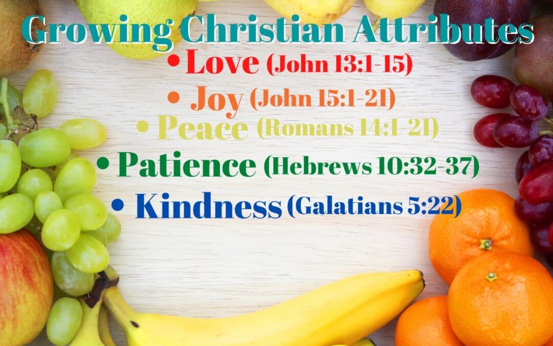 Growing Christian Attributes – Attribute #5: Kindness