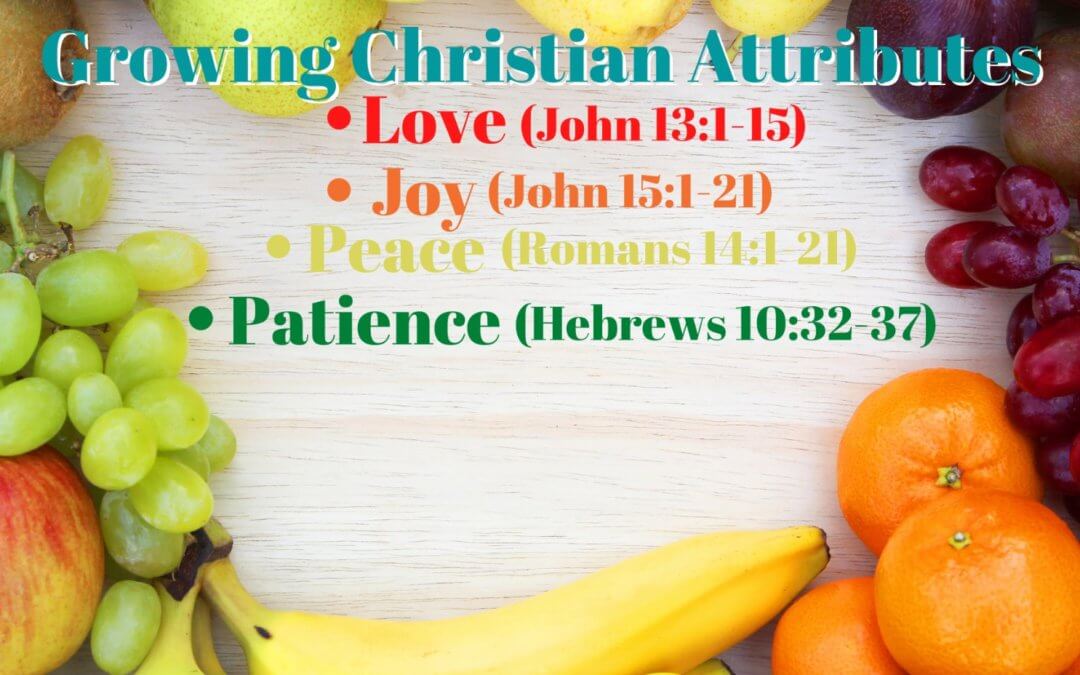 Growing Christian Attributes – Attribute #4: Longsuffering/Patience