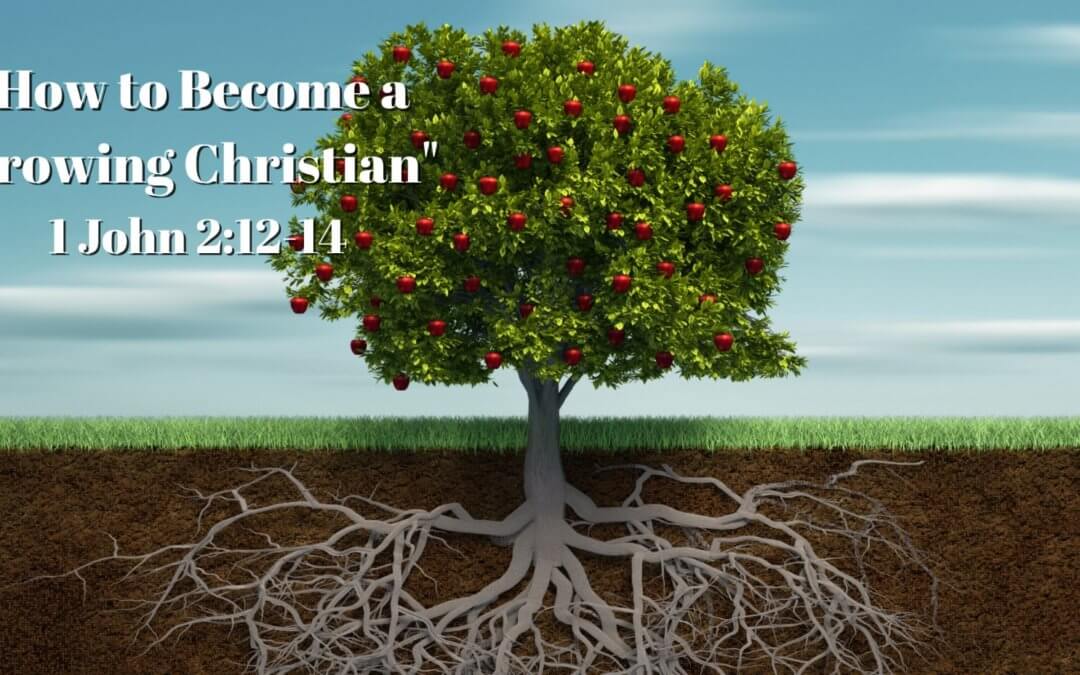 How to Become a Growing Christian