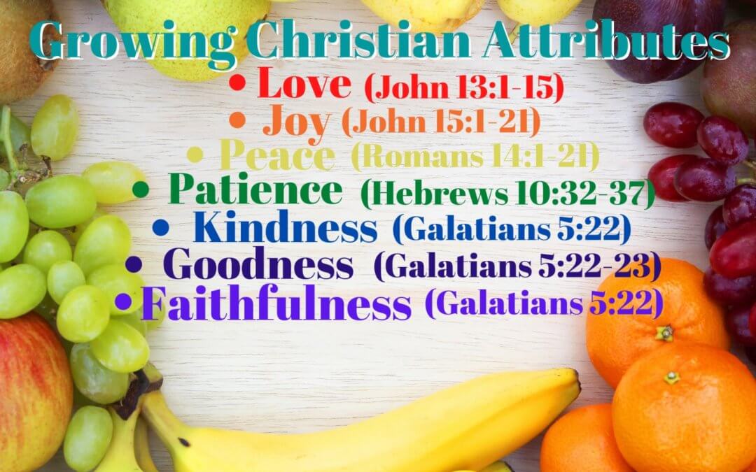 Growing Christian Attributes – Attribute #7: Faithfulness