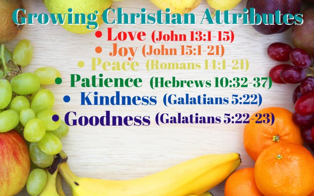 Growing Christian Attributes – Attribute #6: Goodness
