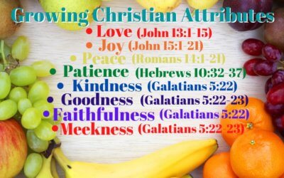 Growing Christian Attributes – Attribute #8: Meekness