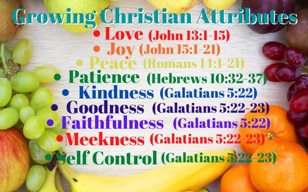 Growing Christian Attributes – Attribute #9: Self Control