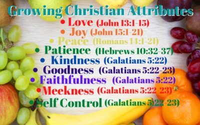 Growing Christian Attributes – Attribute #9: Self Control