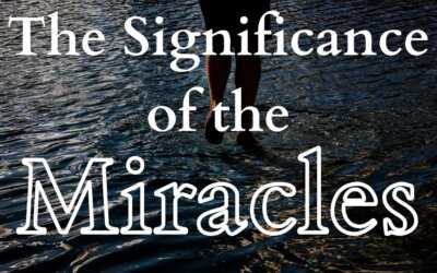 The Significance of the Miracles