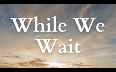 While We Wait