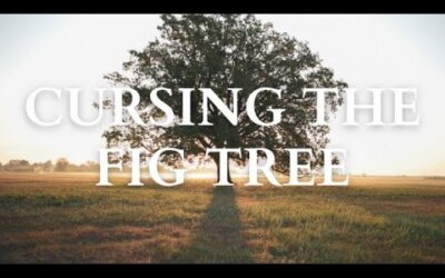 The Cursing of the Fig Tree