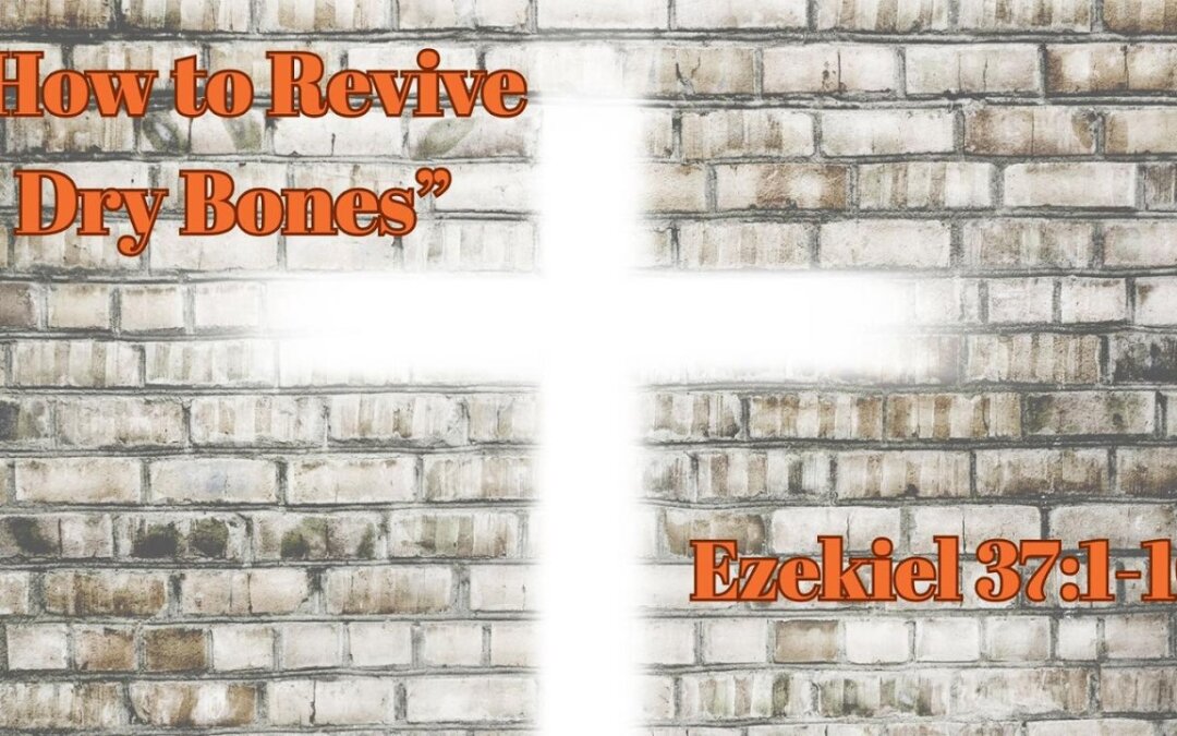 How to Revive Dry Bones