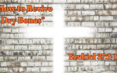 How to Revive Dry Bones