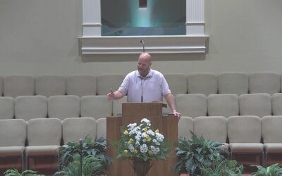The Vital Facts of life (Part 2)
